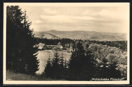 AK Brückenau, Gasthaus Pilsterhof Von Bewaldetem Hügel Aus  - Other & Unclassified