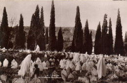 TLEMCEN Le Cimetière Musulman RV - Tlemcen