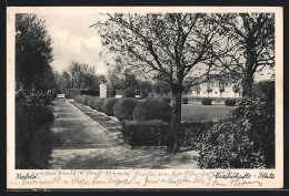 AK Krefeld, Partie Am Grafschaftsplatz  - Krefeld