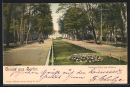 AK Berlin-Tiergarten, Bellevue-Allee Mit Schloss  - Dierentuin