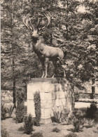 Grillenburg  1968    Hirsch - Sonstige & Ohne Zuordnung