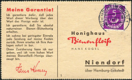 Bundesrepublik Deutschland, 1953, 123+125, 125 EF, 125+177, Brief - Autres & Non Classés