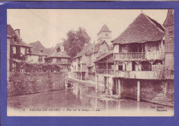 64 - SALIES De BEARN - Le SALEYS -  - Salies De Bearn