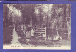 77 - FORÊT De CRECY - MARE Du FAUX SOLEIL - ANIMEE - - Autres & Non Classés