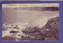 29 - POINTE Du RAZ - BAIE Des TRÉPASSÉS -  - Other & Unclassified