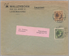 LUXEMBOURG - 1932 Charlotte 2nd 15c/25c & 20c Printed Matter To Denmark - 1926-39 Charlotte Right-hand Side