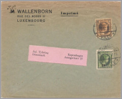 LUXEMBOURG - 1932 Charlotte 2nd 15c/25c & 20c Printed Matter To Denmark - 1926-39 Charlotte Rechterzijde