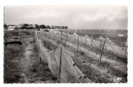 (33) 449, Cap-Ferret, Artaud 12, Quartier Du Phare, Filets Au Séchage - Autres & Non Classés