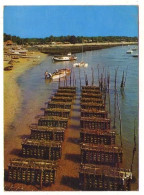 GF (33) 393, Bassin D'Arcachon, Yvon 10/7595, Collecteurs D'huitres - Andere & Zonder Classificatie