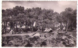 (33) 307, Cap-Ferret, Artaud 36, Terrain De Camping - Autres & Non Classés