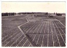 GF (33) 047, Sauternes, Grafoulière, Château D'Yquem - Other & Unclassified