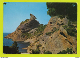 13 LA CIOTAT N°11578 Calanque De Figuerolles Et Le Bec D'Aigle La Côte Provençale VOIR DOS Et Flamme En 1971 - La Ciotat