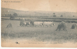 89 //dans L'Avallonais    Les Travaux Des Champs - En Plein Champ - Avallon