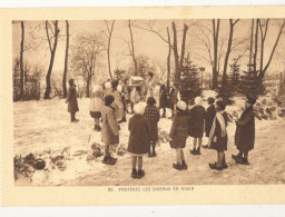 68 // PFASTATT  Ecole De Plein Air / 20 PROTEGEZ LES OISEAUX EN HIVER - Sonstige & Ohne Zuordnung