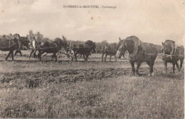 . 58 . ST-PIERRE-le-MOUTIER . Labourage . Chevaux Attelés . - Saint Pierre Le Moutier