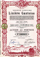 LINIÈRE GANTOISE - Textiles