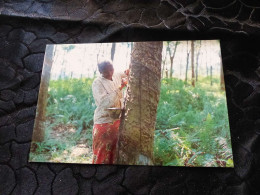 C-150 , MALAYSIE, MALAYSIA, A Woman Tapping A Rubber Tree - Malaysia