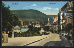 AK Wildbad / Schwarzwald, Partie An Der Olgastrasse  - Other & Unclassified