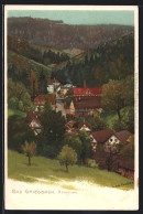Lithographie Bad Griesbach / Renchthal, Panorama  - Sonstige & Ohne Zuordnung
