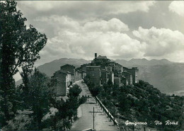 GAVIGNANO ( ROMA ) VIA ROMA - EDIZIONE DE CAROLIS - 1960s (20613) - Altri & Non Classificati