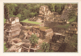 GUATEMALA - Tikal - L'ancienne Métropole Maya - Vue Générale - Carte Postale Ancienne - Guatemala