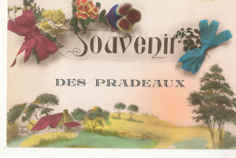 69 //  Souvenir De PRADEAUX - Other & Unclassified