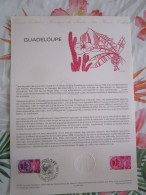 Document Officiel Guadeloupe 25/2/84 - Documenten Van De Post