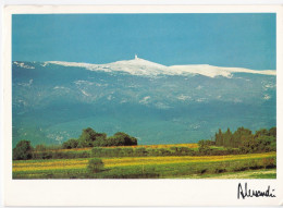 Mont Ventoux - Other & Unclassified