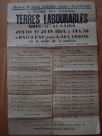 EURE ET LOIR BAILLEAU SOUS GALLARDON VENTE AUX ENCHERES DE TERRES LABOURABLES BOIS ET AUNAIES - Posters