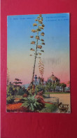 Nice Affranchie 1938 - Parques, Jardines