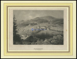 GRÄFENBERG I. SCHLESIEN, Stahlstich Von B.I. Um 1840 - Estampes & Gravures