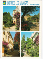 Bormes-les-Mimosas - Dans Les Rues Du Village - Bormes-les-Mimosas