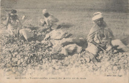 ALGERIE    FEMMES ARABES CASSANT DES PIERRES SUR LA ROUTE    GEISER EDIT 141 - Femmes