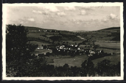 AK Schaippach Bei Gemünden, Ortsansicht Aus Der Vogelschau  - Gemuenden