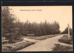 AK Oberbärenburg /Erzgeb., Strasse Im Wald  - Autres & Non Classés