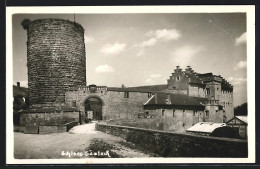 AK Saaleck / Hammelburg, Blick Auf Das Schloss  - Hammelburg