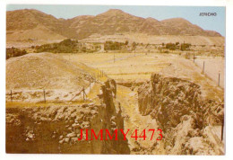 CPA - JERICHO ( Cisjordanie Palestine ) Edit. I. Amad - Palestine