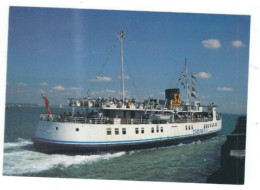 POSTCARD   SHIPPING  FERRY  SEALINK TSMV SOUTHSEA - Veerboten