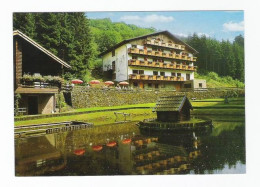 KOPP Bei GEROLSTEIN  Café " Zur Wandersruh "  - ALTE KARTE / OUDE POSTKAART / VIEILLE CPA  (D 054) - Gerolstein