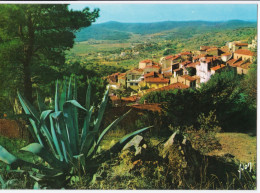 Bormes-les-Mimosas - Bormes-les-Mimosas