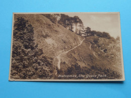 WATCOMBE, The Goats Path ( Edit.: Frith ) Anno 19?? ( See/voir Scans ) ! - Torquay