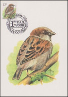 CM/MK - 2533° - Moineau Domestique / Huismus / Haussperling / House Sparrow - BSL-BXL - 03/01/1994 - BUZIN - 1985-.. Birds (Buzin)