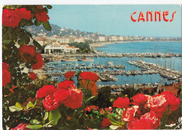 Cannes - Le Port - Cannes