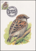 CM/MK - 2533° - Moineau Domestique / Huismus / Haussperling / House Sparrow - BXL-BSL - 3-1-1994 - BUZIN - 1985-.. Vogels (Buzin)