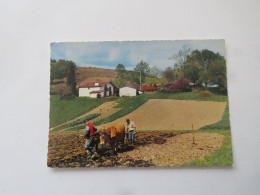 PAYS BASQUE (B.-P.) - Labours Dans Les Pyrénées - Andere & Zonder Classificatie