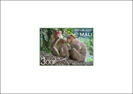 MALI 2022 DELUXE PROOF - INDIA ENDEMIC FAUNA - APES APE MONKEYS MONKEY SINGES SINGE AFFEN - RARE - Apen