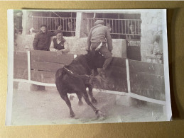 13 MOURIES PHOTOGRAPHIE PHOTO-GEORGE TAUREAU SAN GILLEN FABRE CLAUDE PRESIDENT DU CLUB TAURIN MOURIES RAZETEURS COCARDE - Plaatsen