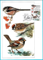 CM 1067-8, 1076-7, 1083-4 Czech Republic 2020 - Songbirds & Tree Dwellers