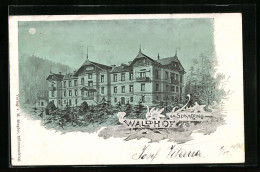 Künstler-AK Semmering, Hotel Waldhof Bei Mondschein  - Other & Unclassified