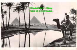 R455327 Cairo. The Pyramids Of Gizeh. Lehnert And Landrock. Egypt. Leonar. K. La - World